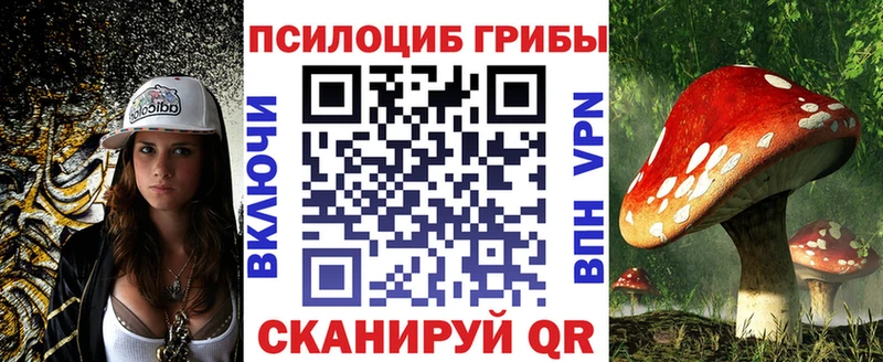 shop клад  Юрга  Псилоцибиновые грибы прущие грибы 